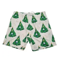 HEDGES BEACH SHORTS